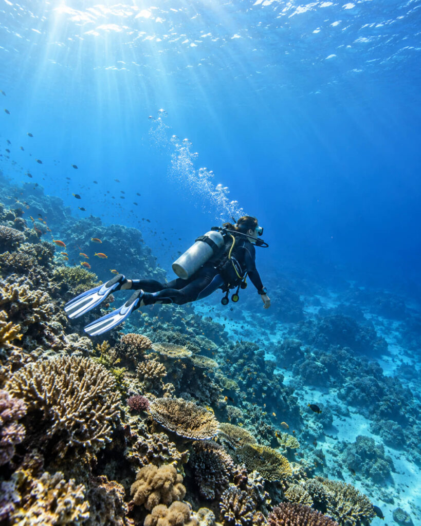 Scuba diver swimming above a coral reef in clear blue water